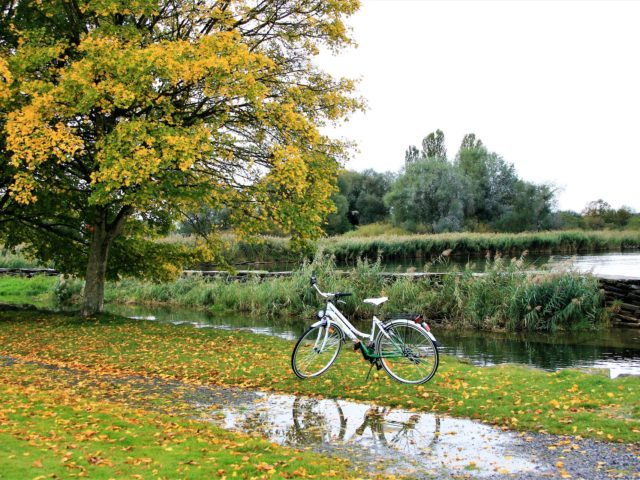 雨の日の自転車、レインコート脱いだ後はどうする？